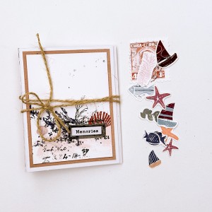Mini album (hybrid)