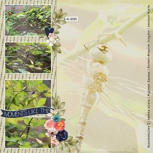 Libel in de tuin