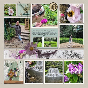 Iveagh Gardens