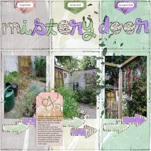 Mistery Door
