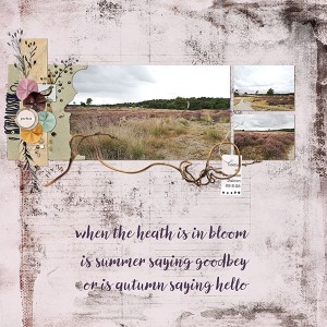 Summer Going On Autumn