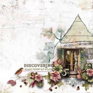 Discovering