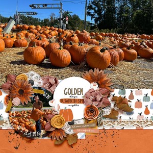 Pumpkins