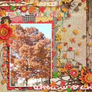 ColorsOfFall.jpg