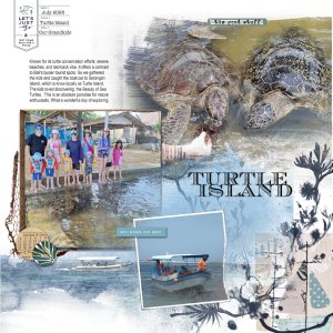 turtle island lp.jpg