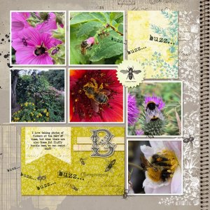 BeesWeb.jpg