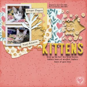 Nini Goes Kitten Crazy.jpg