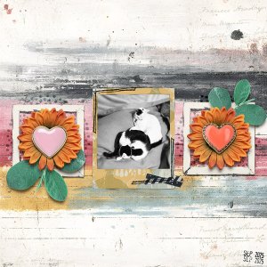 092025RC-Frames