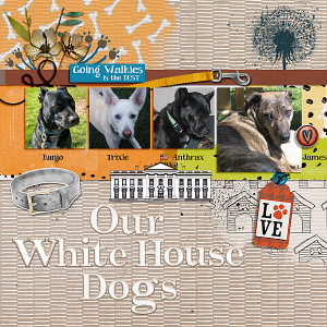 White House Dogs
