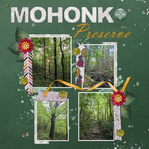Mohonk Preserve
