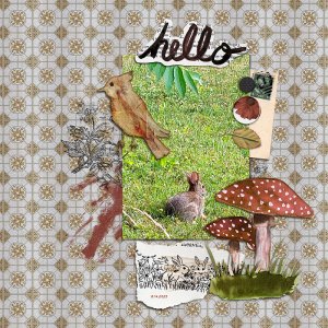 Hello (Aug 2025)