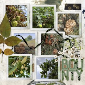 250819_bounty.jpg