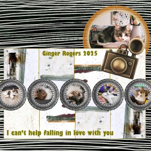 Random-Ginger-Rogers-the-Super-Meowdel.jpg