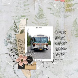 Intrinsic-No4