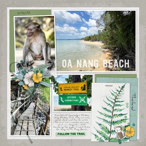Monkey.Trail.jpg