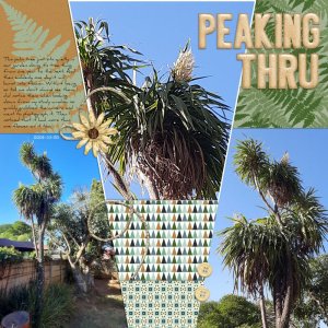 Peaking Thru