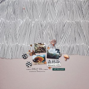 shinrin-yoku