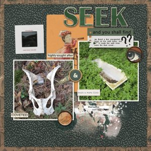 250921_seek.jpg