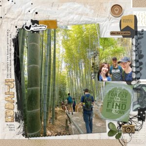 Slow Sun 8pm EDT |  Kodai-ji Temple Bamboo Grove