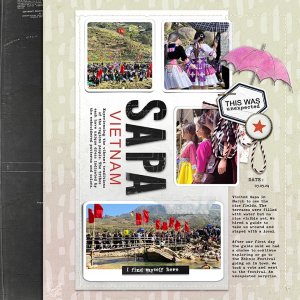 SAPA.jpg