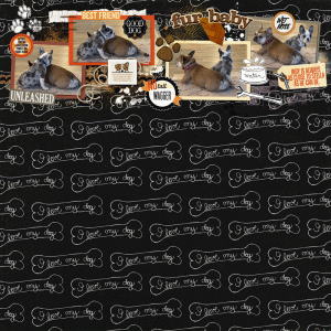10.25.Style.gif