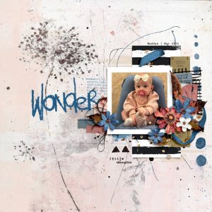 wonder