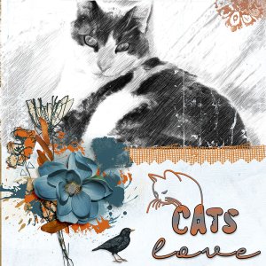Cats love