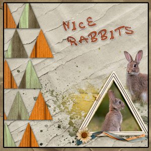 Nice Rabbits