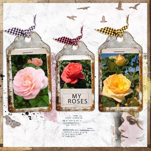 My Roses