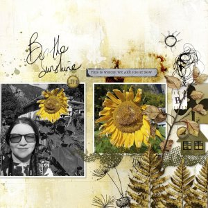 251005_sunflower.jpg