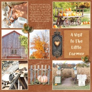 A Visit to the Little Farmer.jpg