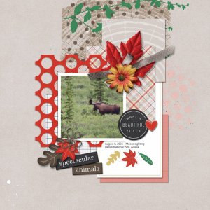 TLP_2025-10_October_Template-Challenge.jpg