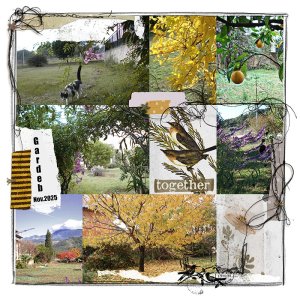 November 2025 - Garden
