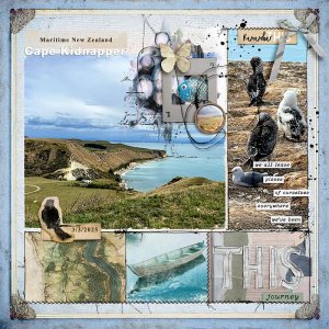 2025-Cape-Kidnapper-New-Zealand.jpg