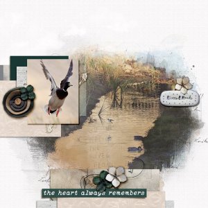Rivers & Roads