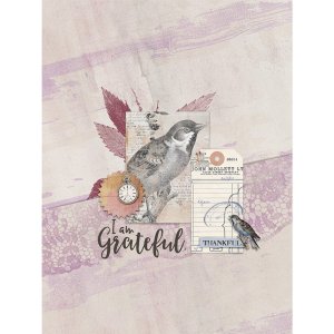 I am grateful