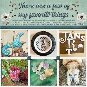 PhotographyChallenge_Nov_janisn.jpg