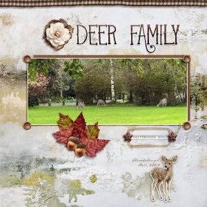 Deer Family