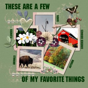 A Few of My Favorite Things