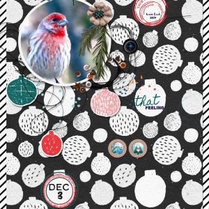 December-Stories
