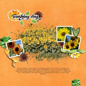 sunflowers.jpg