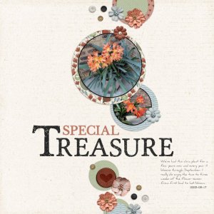 SpecialTreasure