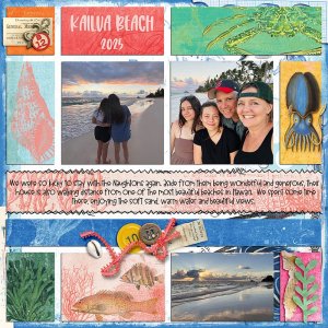 Hawaii Beaches 2025
