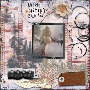 Faded Polaroids II (Wintered)