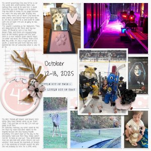 2025 | Week 42