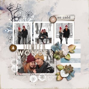 SOSN_dec3_LG_WinterWonder-copy.jpg
