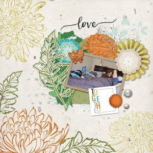 chrysanthemum love
