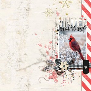 Winter Wonderland