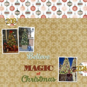 Dec-2025-Monthly-Photo-TLP.jpg