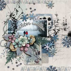 Winter Walk